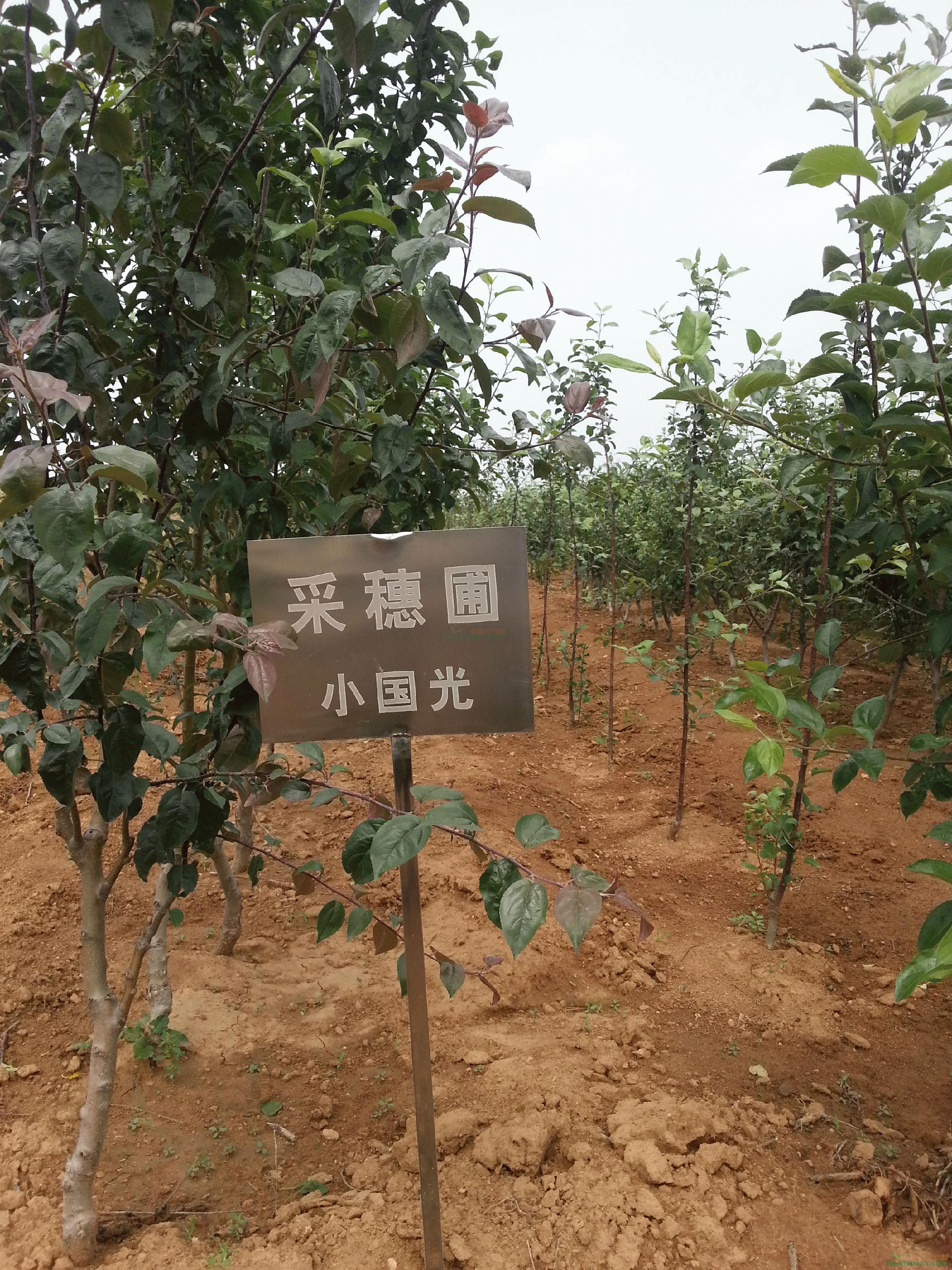 20140611_121952.jpg