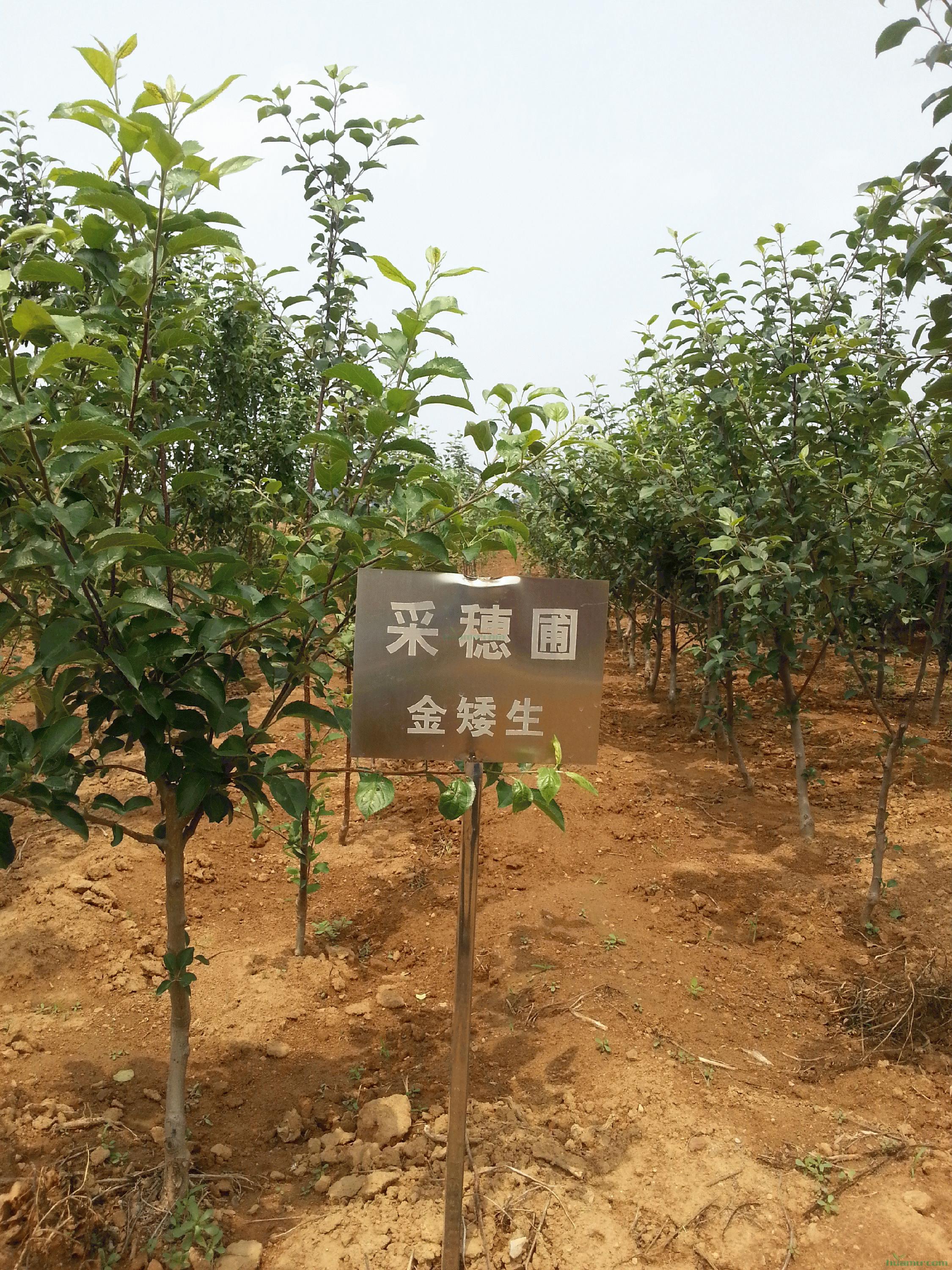 20140611_121920.jpg