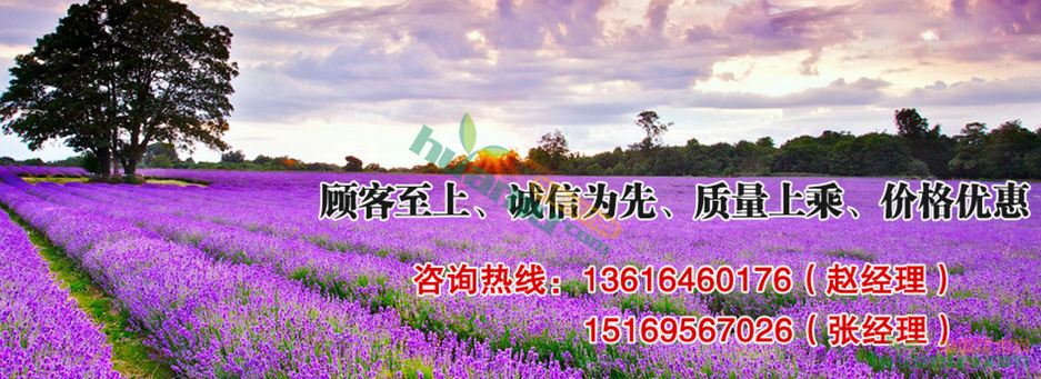 QQ截图20160817103804.png