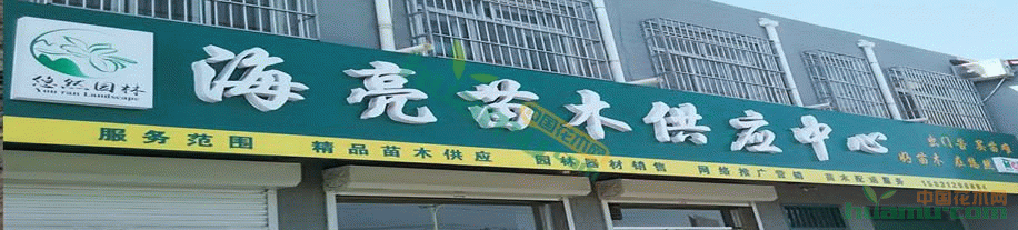 空白_副本.jpg