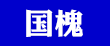 国槐 